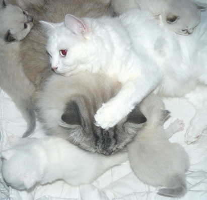 Familienkuscheln...