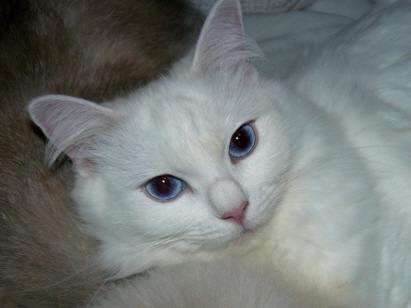 Ich liebe diese Augen...