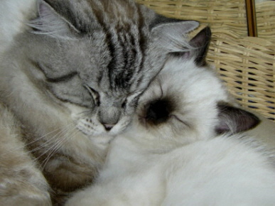 Siri mit seiner Tochter Trinity